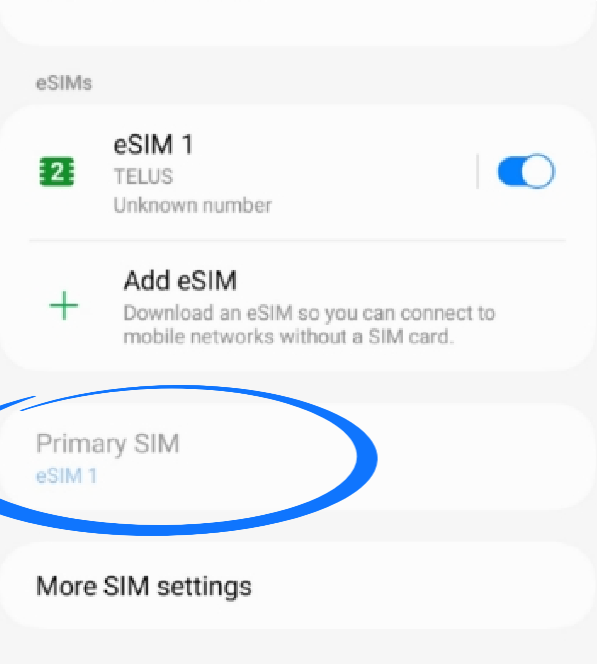 Make_sure_your_eSIM_is_on_copy_3.png