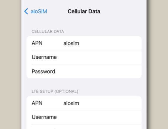 iphone-apn-screen.png