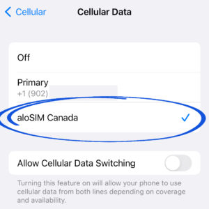 eSIM-Cellular-Data-Source-300x300.jpg