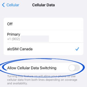 eSIM-Allow-Cellular-Data-Switching-300x300.jpg