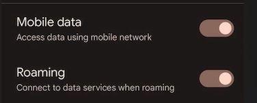 google-pixel-esim-roaming-on-alosim.png