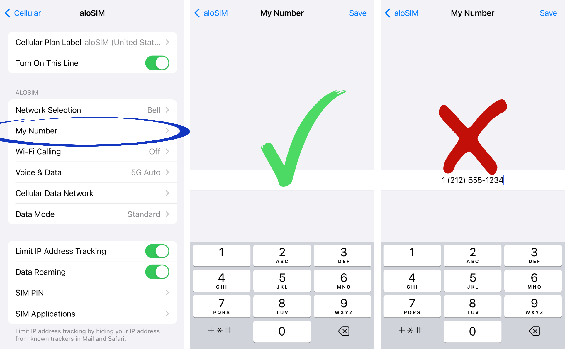 What are the correct eSIM phone number settings for an iPhone or iPad ...