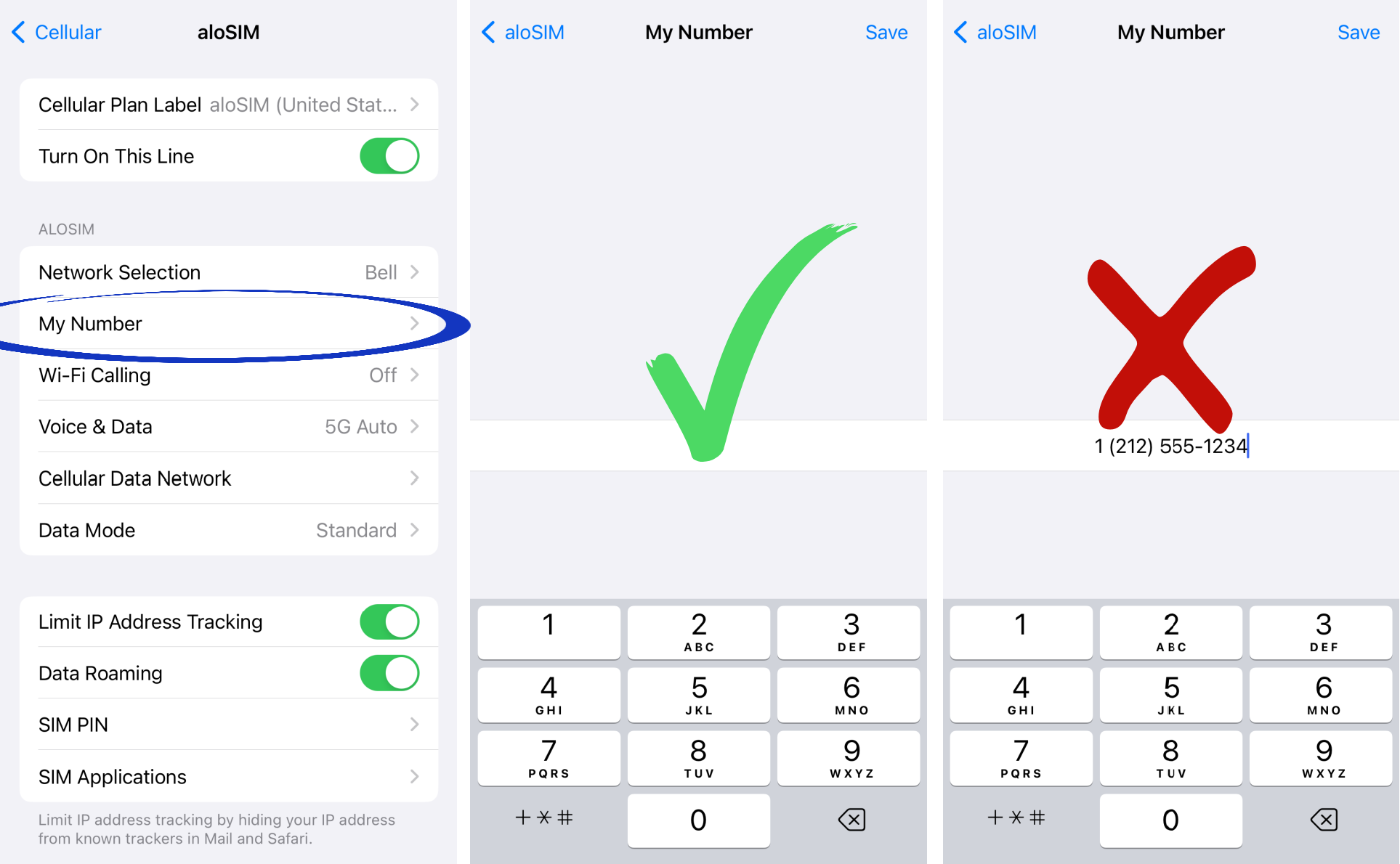 eSIM 'My Number' phone number settings.png