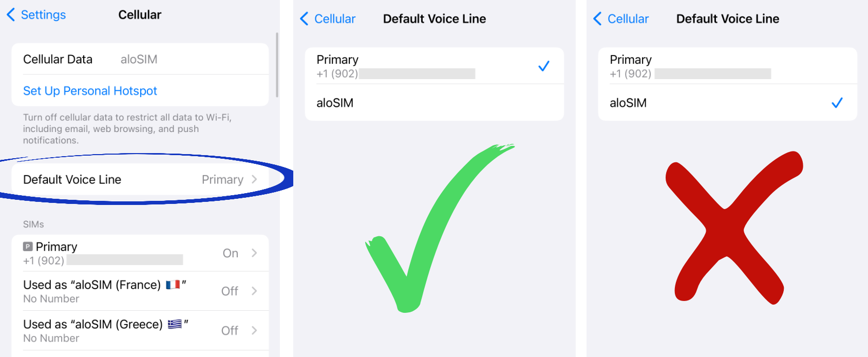 eSIM 'Default Voice Line' phone number settings.png