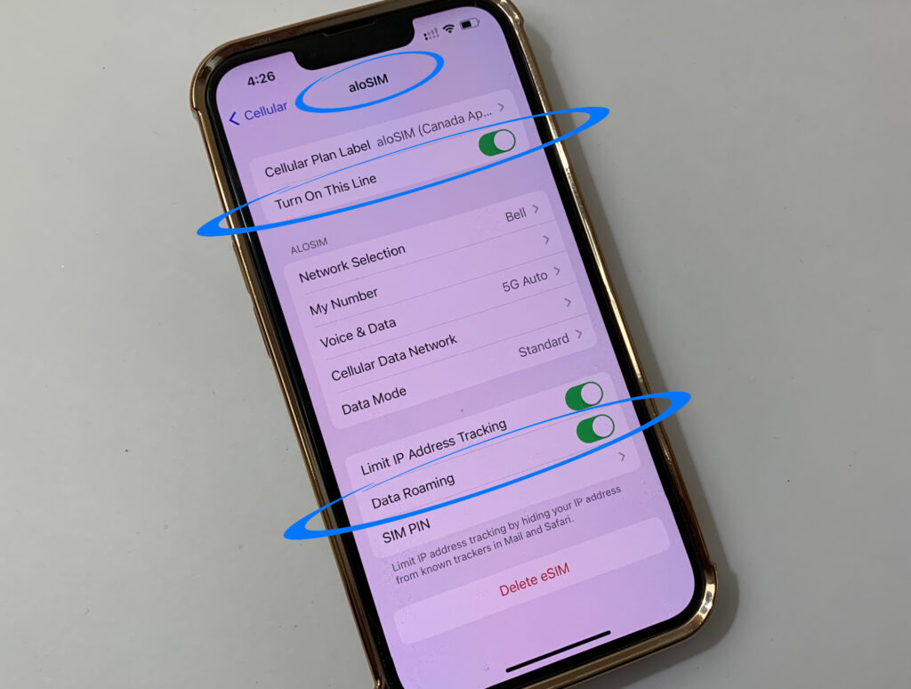how-to-know-if-esim-is-on-iphone-ipad.jpeg