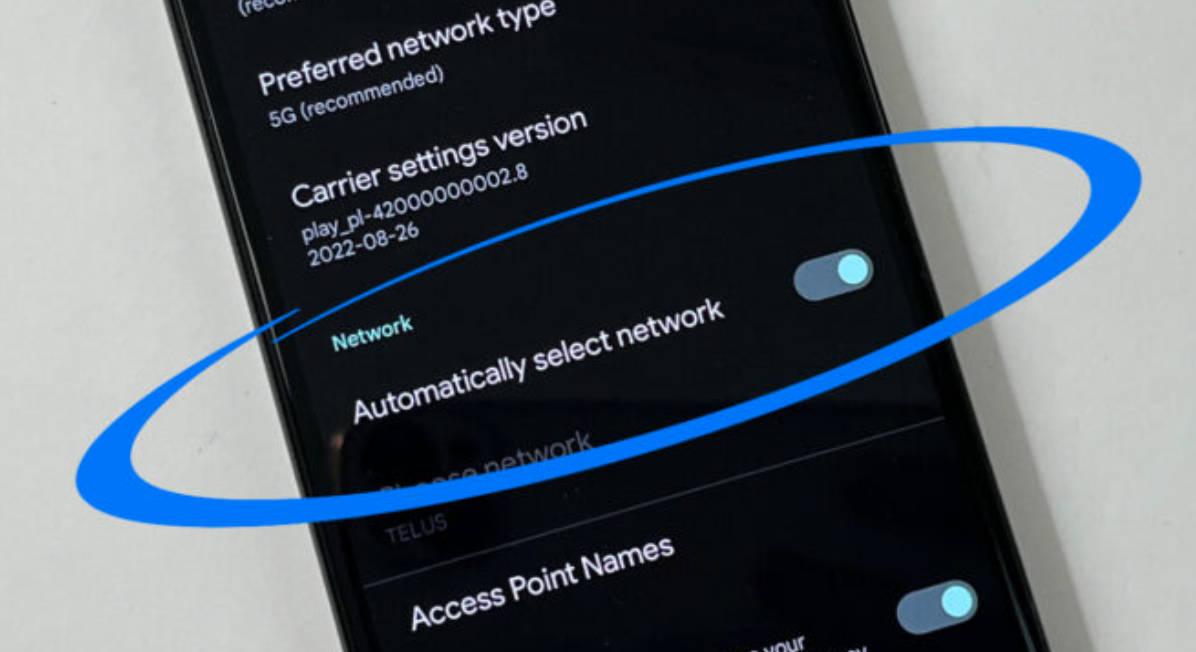 Google Pixel eSIM activation Step 4.png