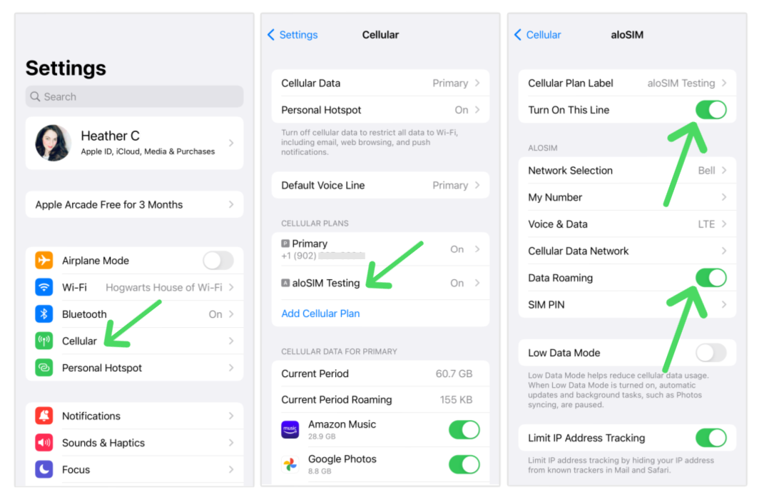 accessing-alosim-data-ios.png