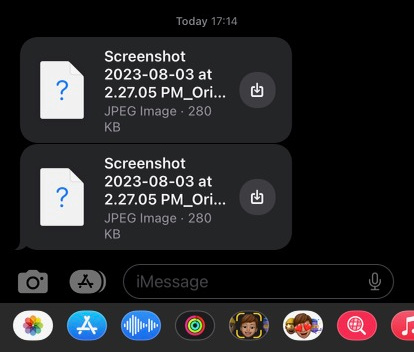 Quando le foto di iMessage non vengono scaricate.jpg
