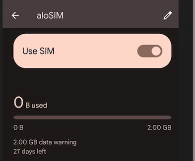google-pixel-esim-on-alosim.png