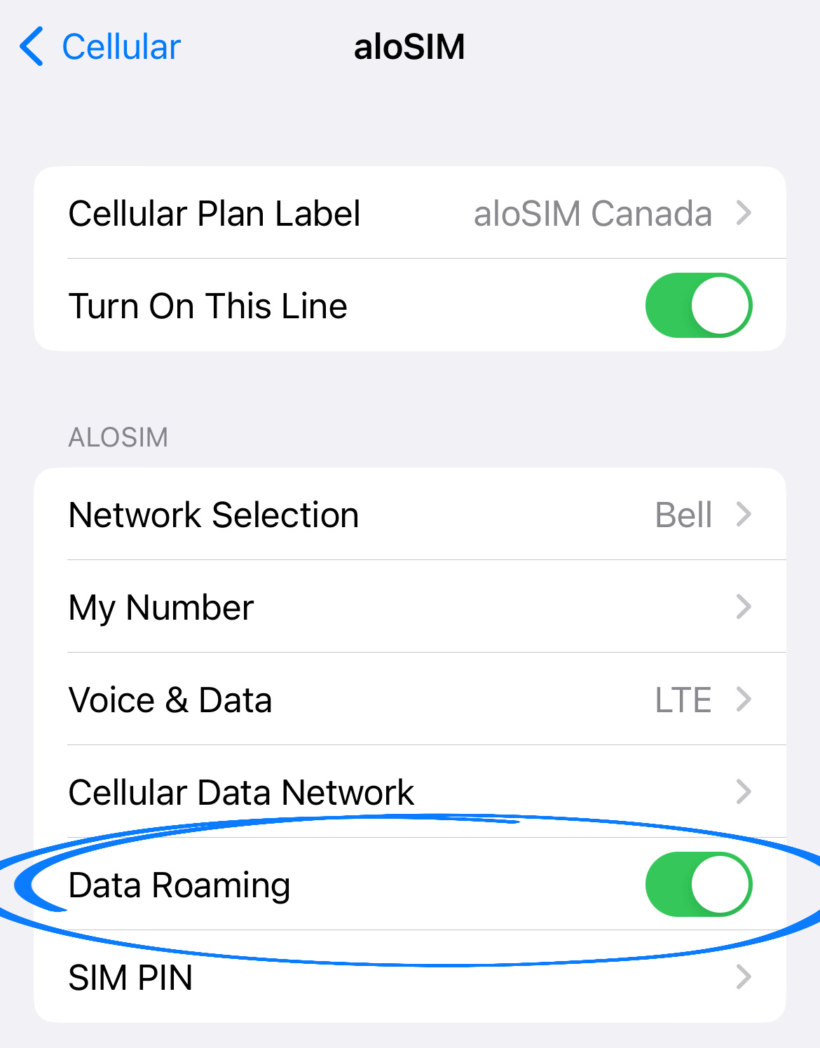 eSIM Roaming Dati ATTIVO.jpg