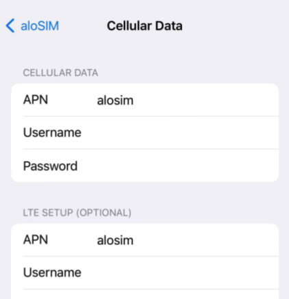 Correggi l'impostazione APN eSIM dell'iPhone.png