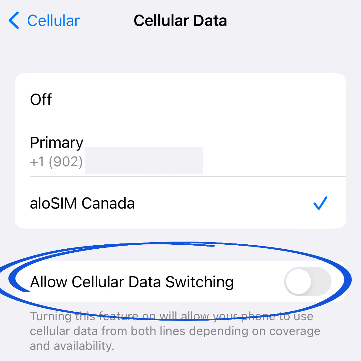eSIM Consenti cambio dati cellulare.jpg