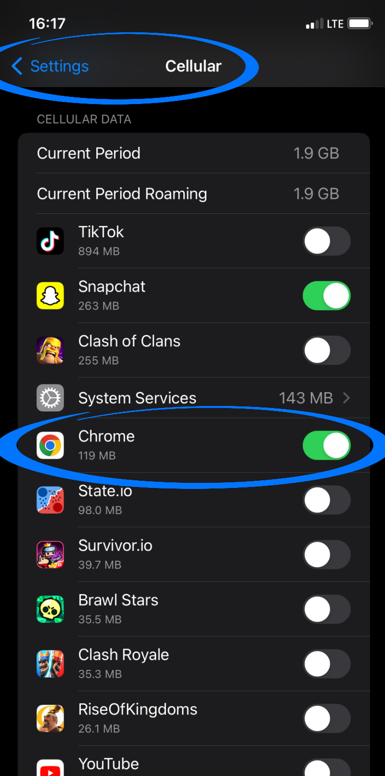 Assicurati che l'app sia autorizzata a utilizzare i dati cellulari.jpg