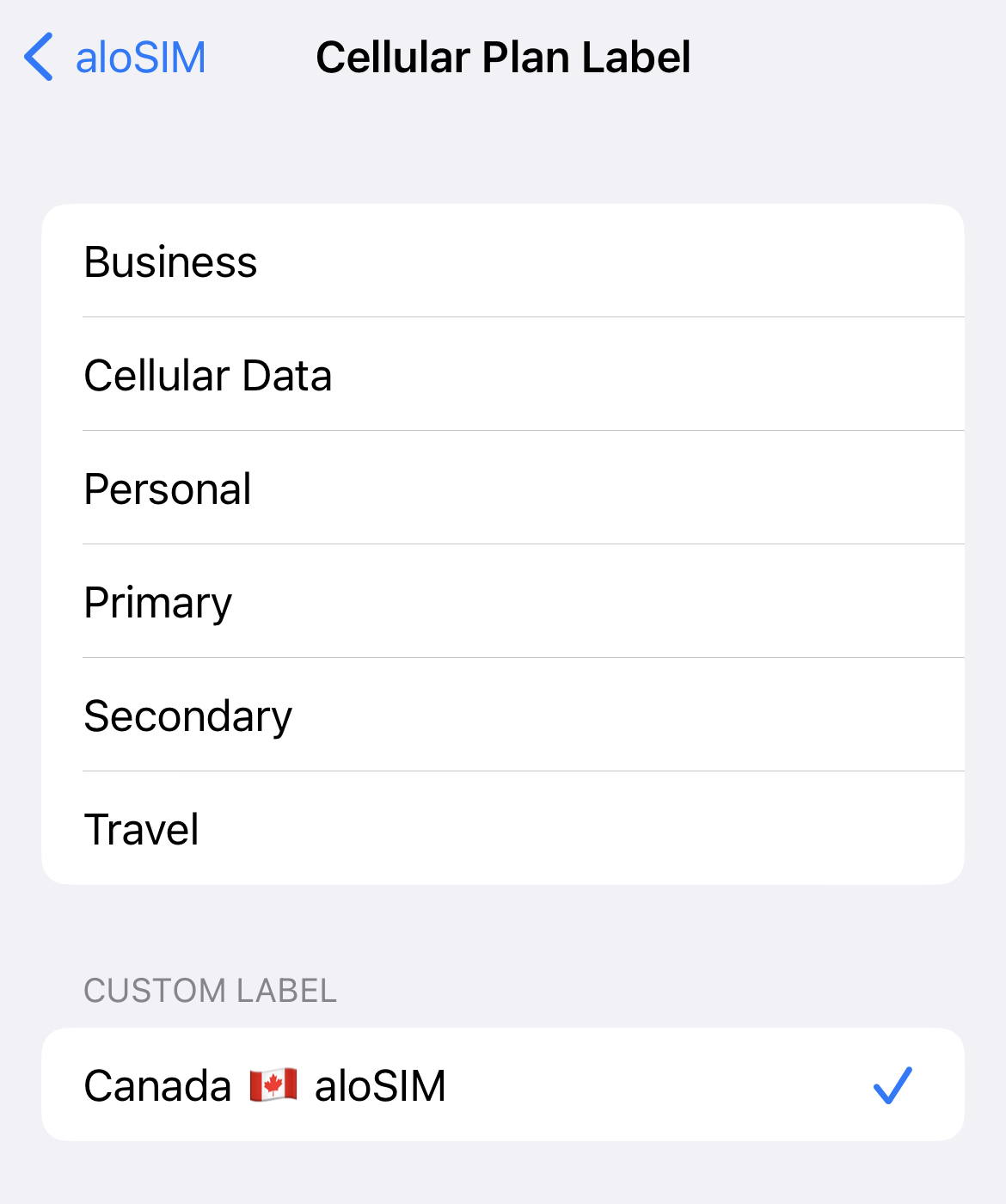 Come etichettare la eSIM del tuo iPhone.jpg
