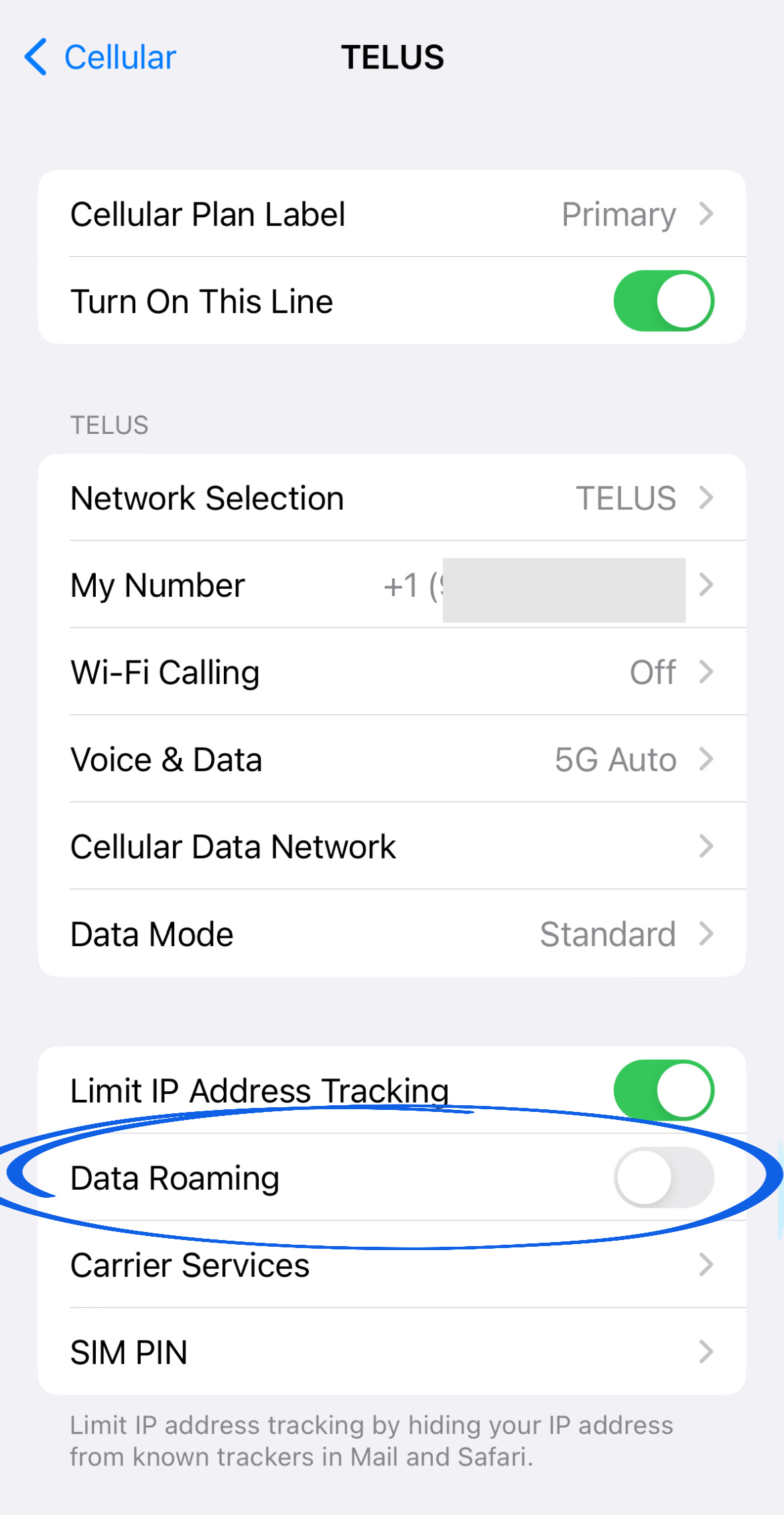 Impostazione eSIM iPhone per il roaming dati.jpeg