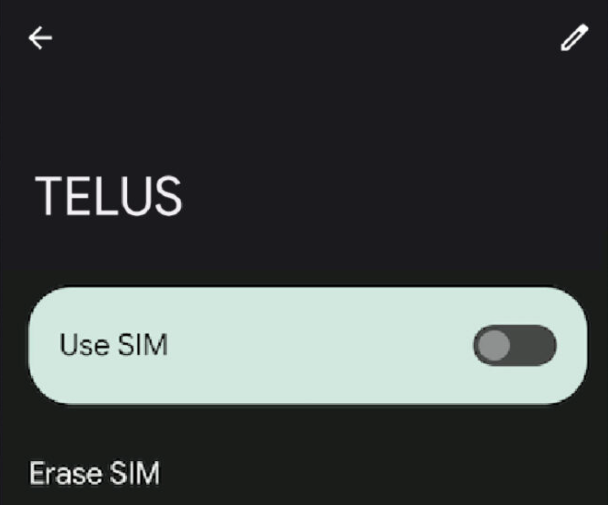 Google Pixel eSIM etkinleştirme Adım 3B.png