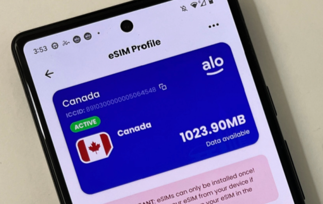 Google Pixel eSIM etkinleştirme Adım 5.png