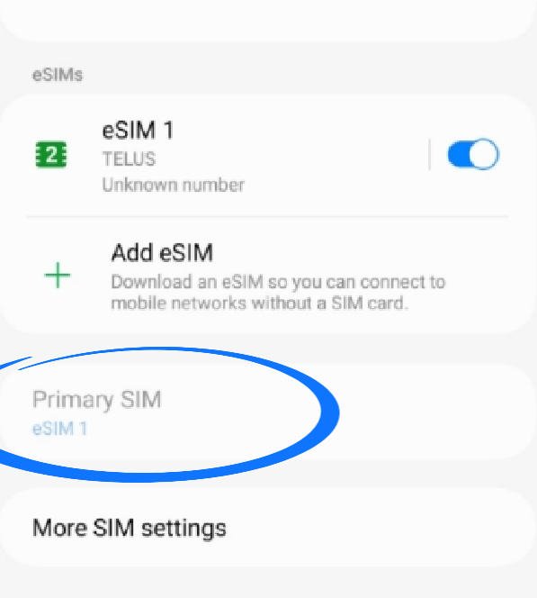 Certifique-se de que seu eSIM está ligado cópia 3.png