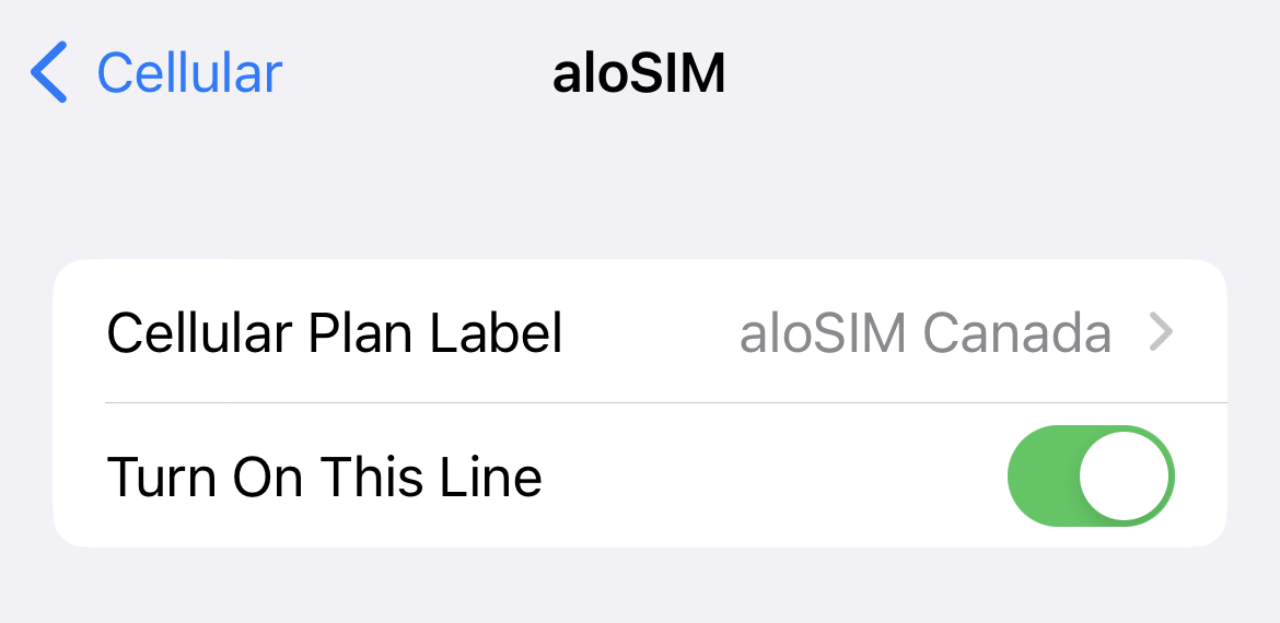 naka-on ang linya ng eSIM.jpg