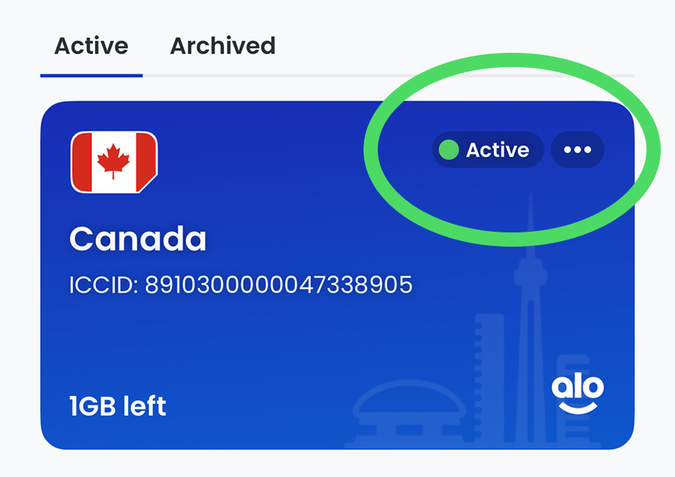 active-esim-alosim.png