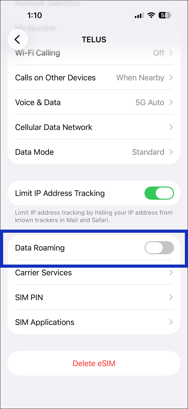 primary-sim-on-with-roaming-off.png