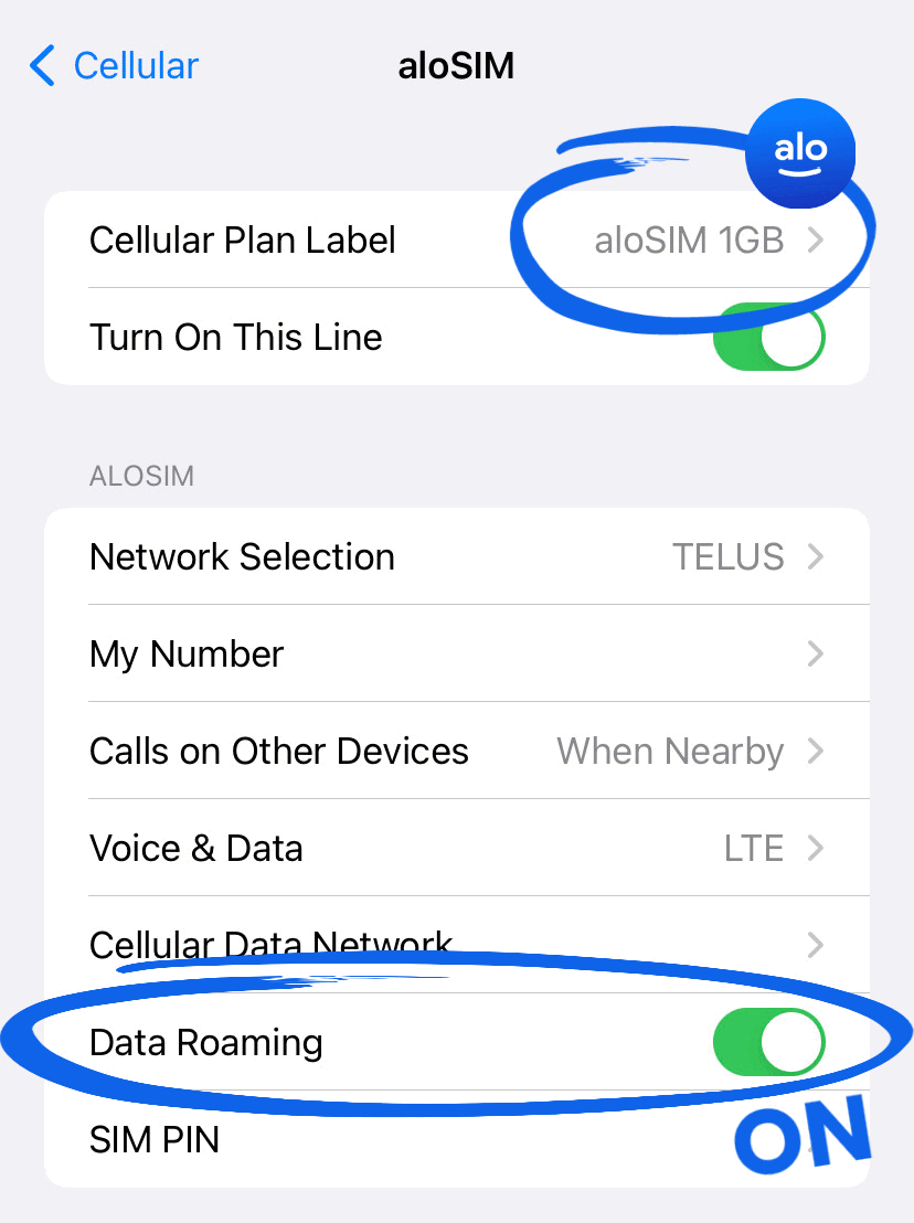 alosim-data-roaming-on-gif.gif