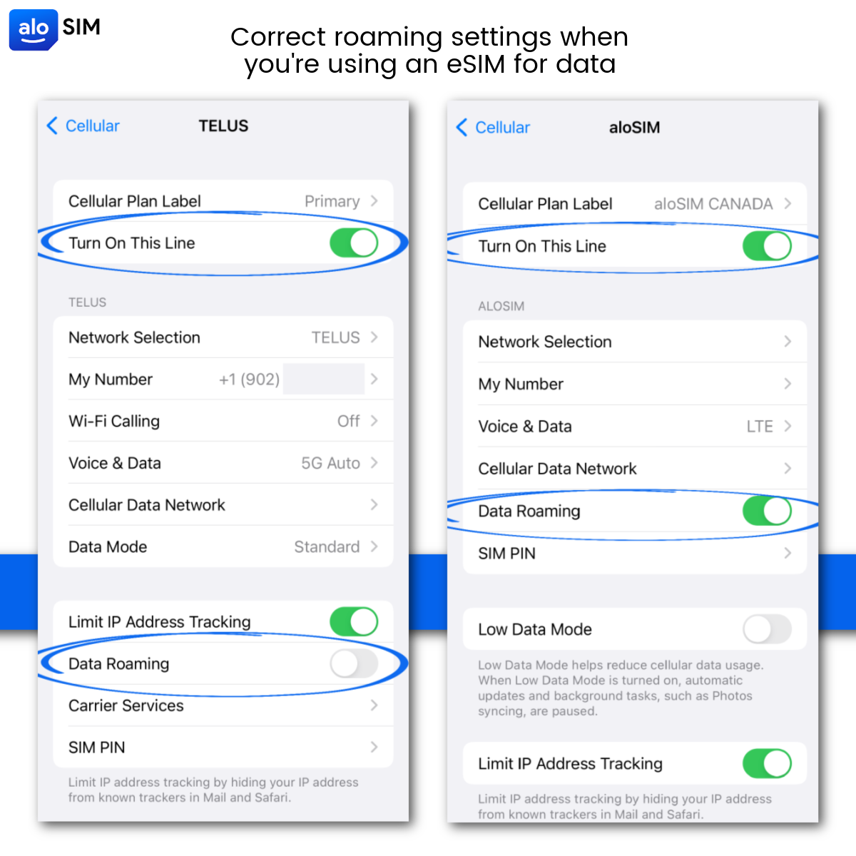 correct-roaming-settings-when-using-esim-for-cellular-data.png